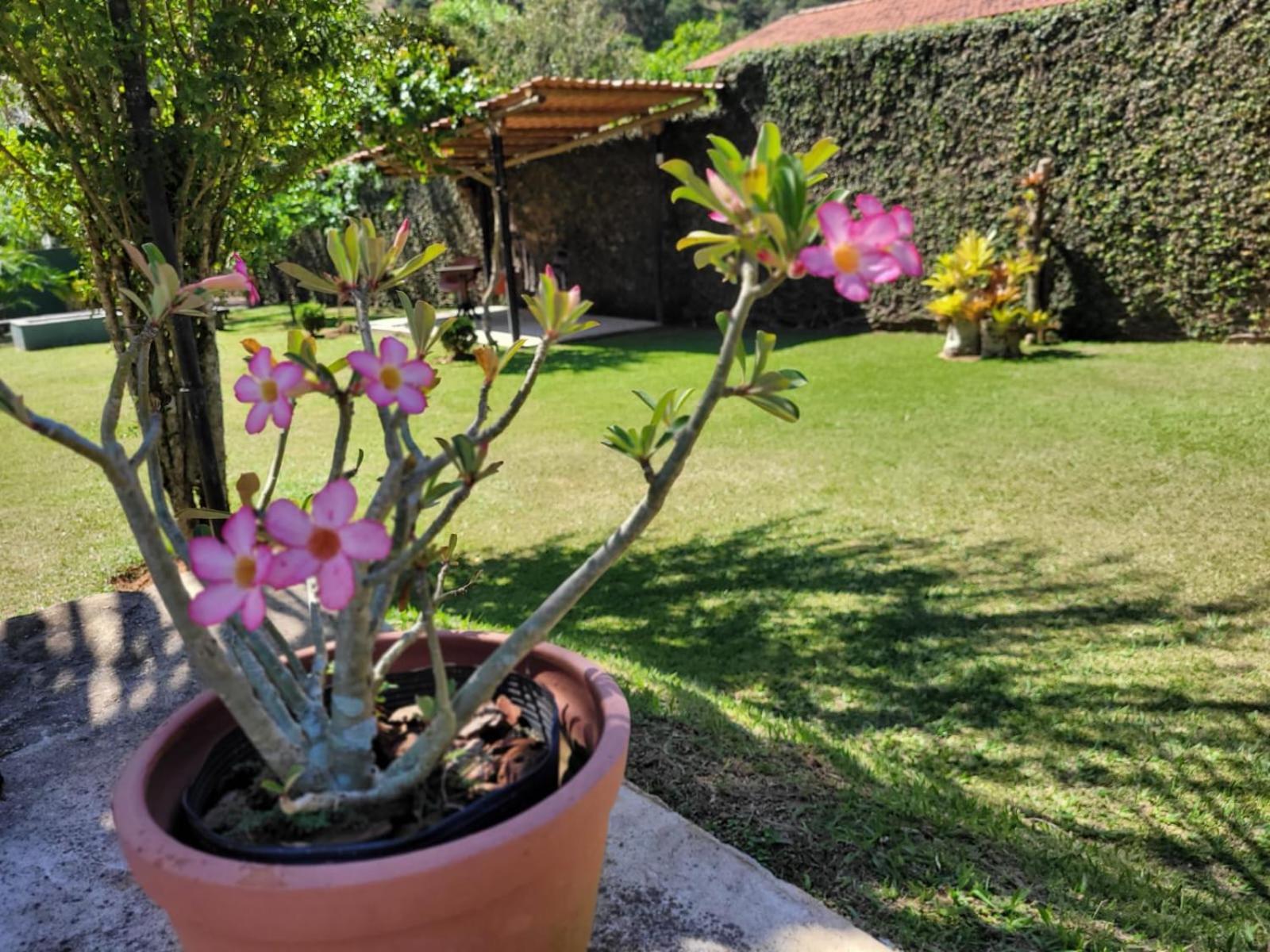 Villa Terracotta Miguel Pereira Ngoại thất bức ảnh